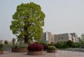 校园风光