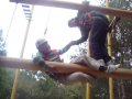 и½ѯ޹˾