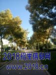 校园风貌