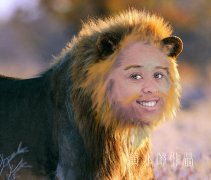 ÷ѧУ--רҵ</strong>