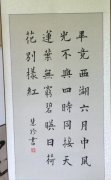 鷨ѵ