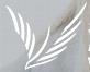 Ӣѵ</strong>