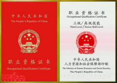 ʳƷ鹤ְҵʸ֤