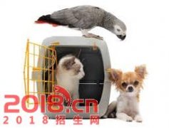 2017Ϊѵרҵѵ