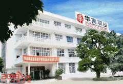 纸